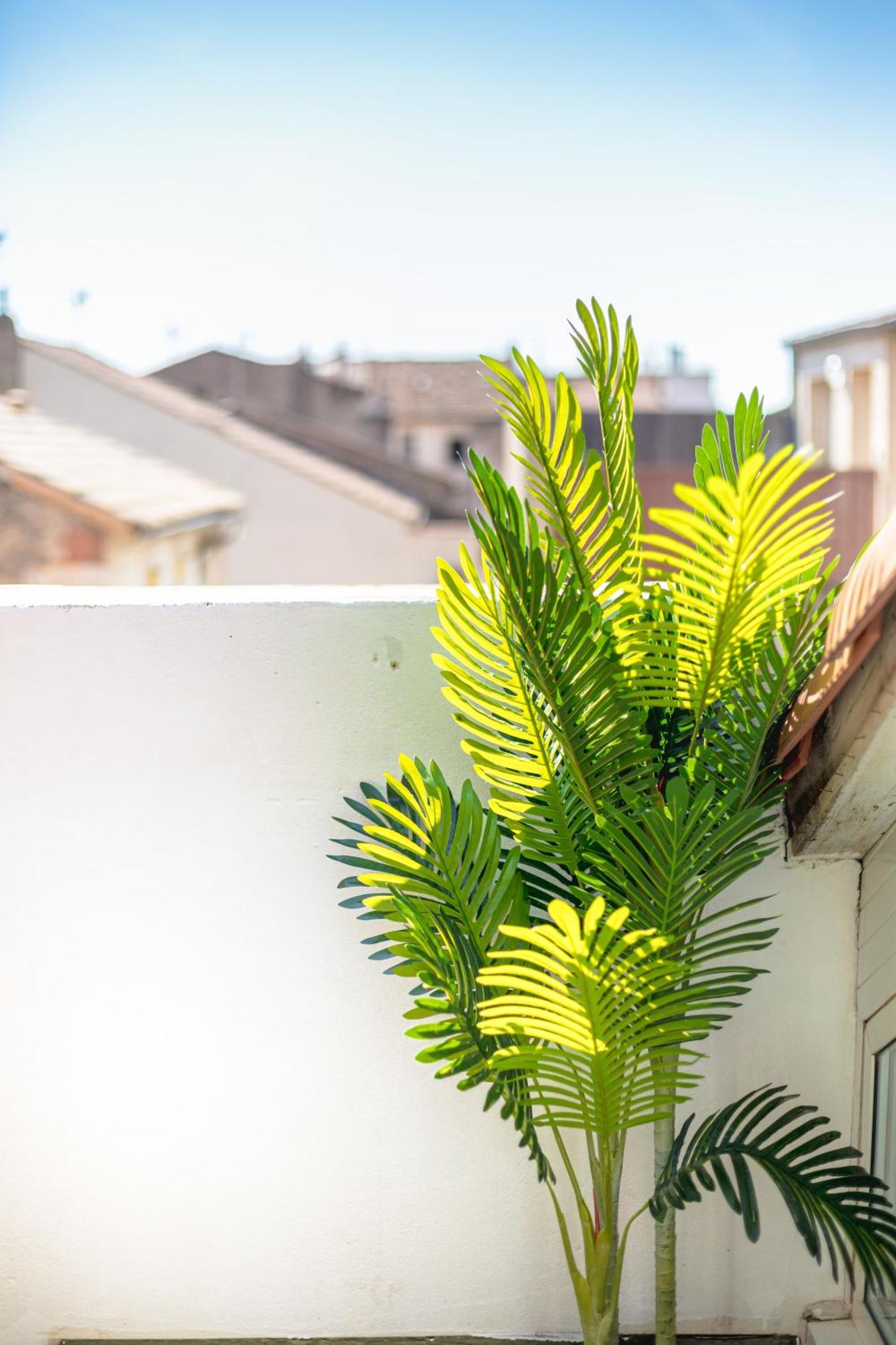 Le Albert 1Er Beziers Appartements Tout Equipes エクステリア 写真