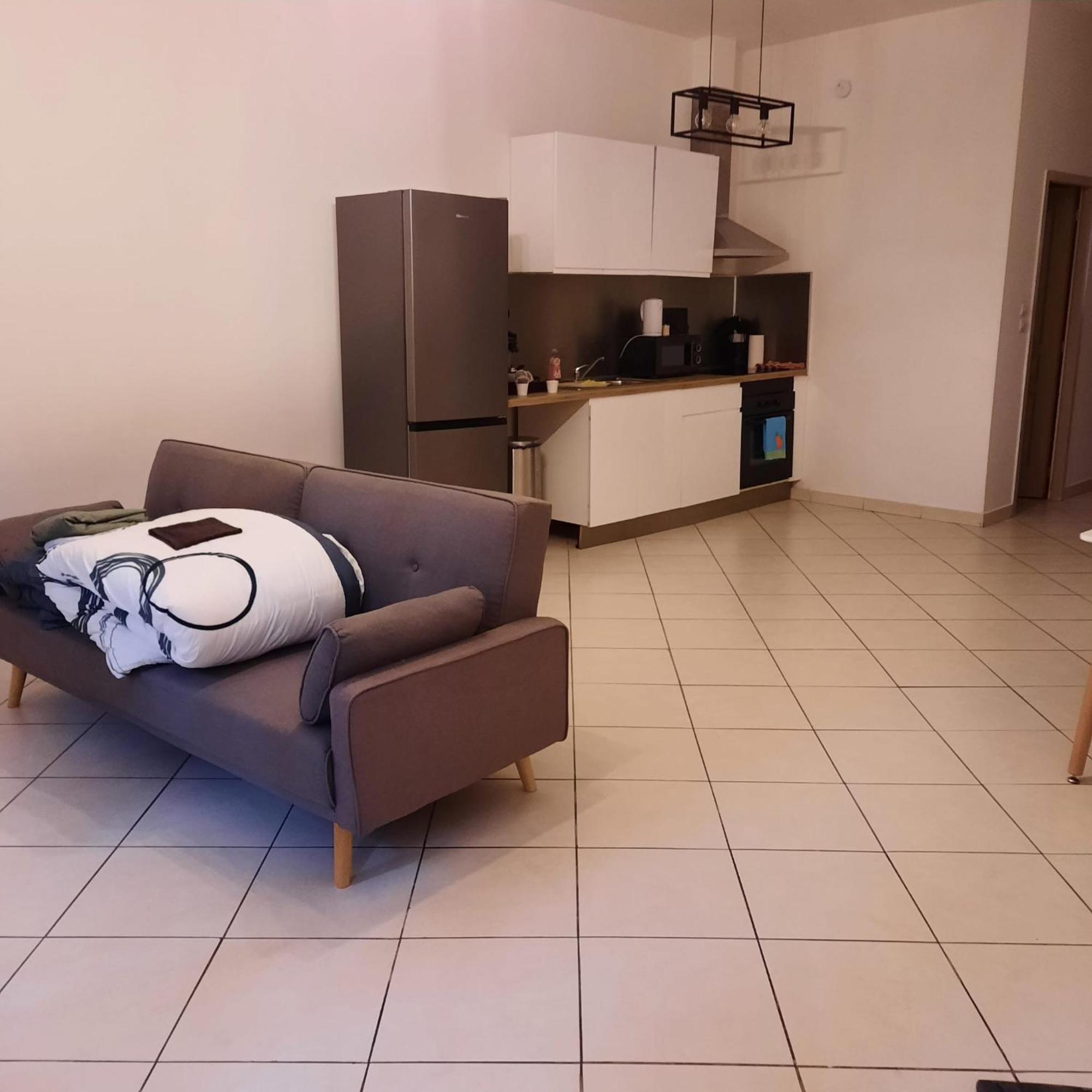 Le Albert 1Er Beziers Appartements Tout Equipes エクステリア 写真